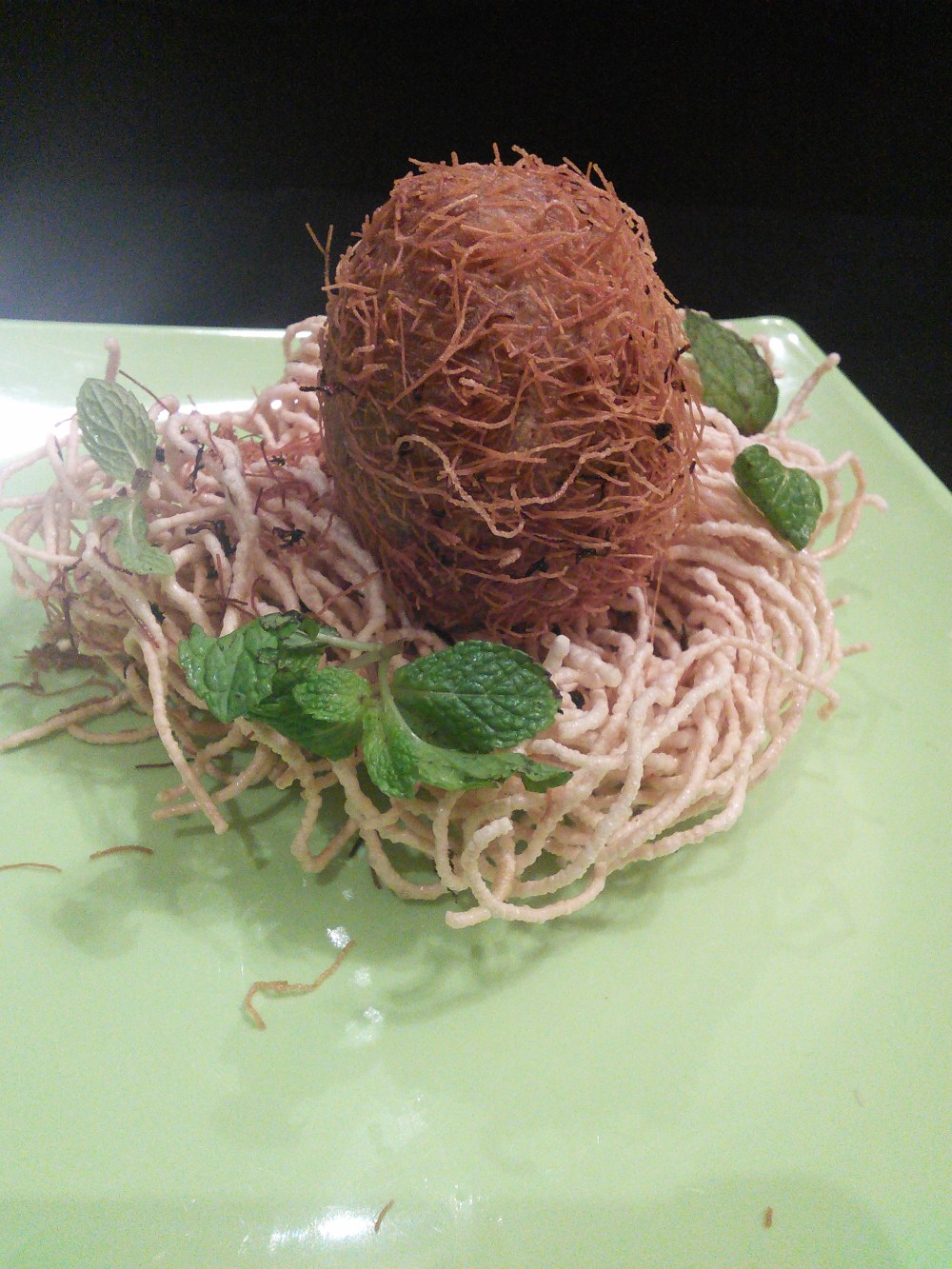 IMG_20140129_205208[1]